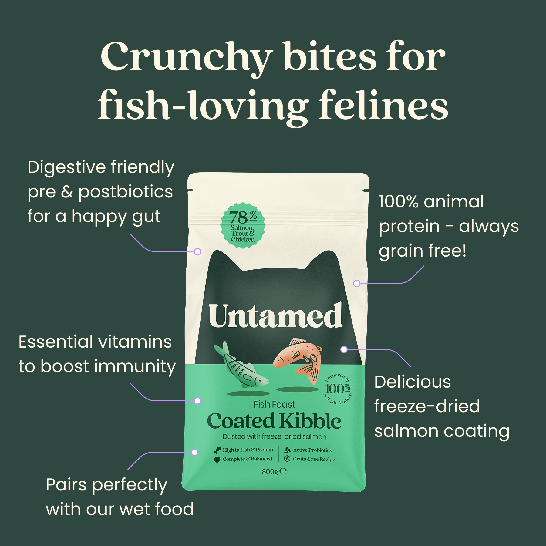Fish Feast Coated Kibble 800g - Image 3