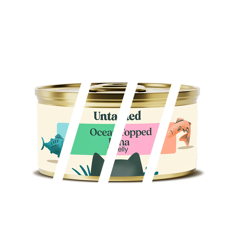 Fish in Jelly Variety Pack - 7 tins - Image 3