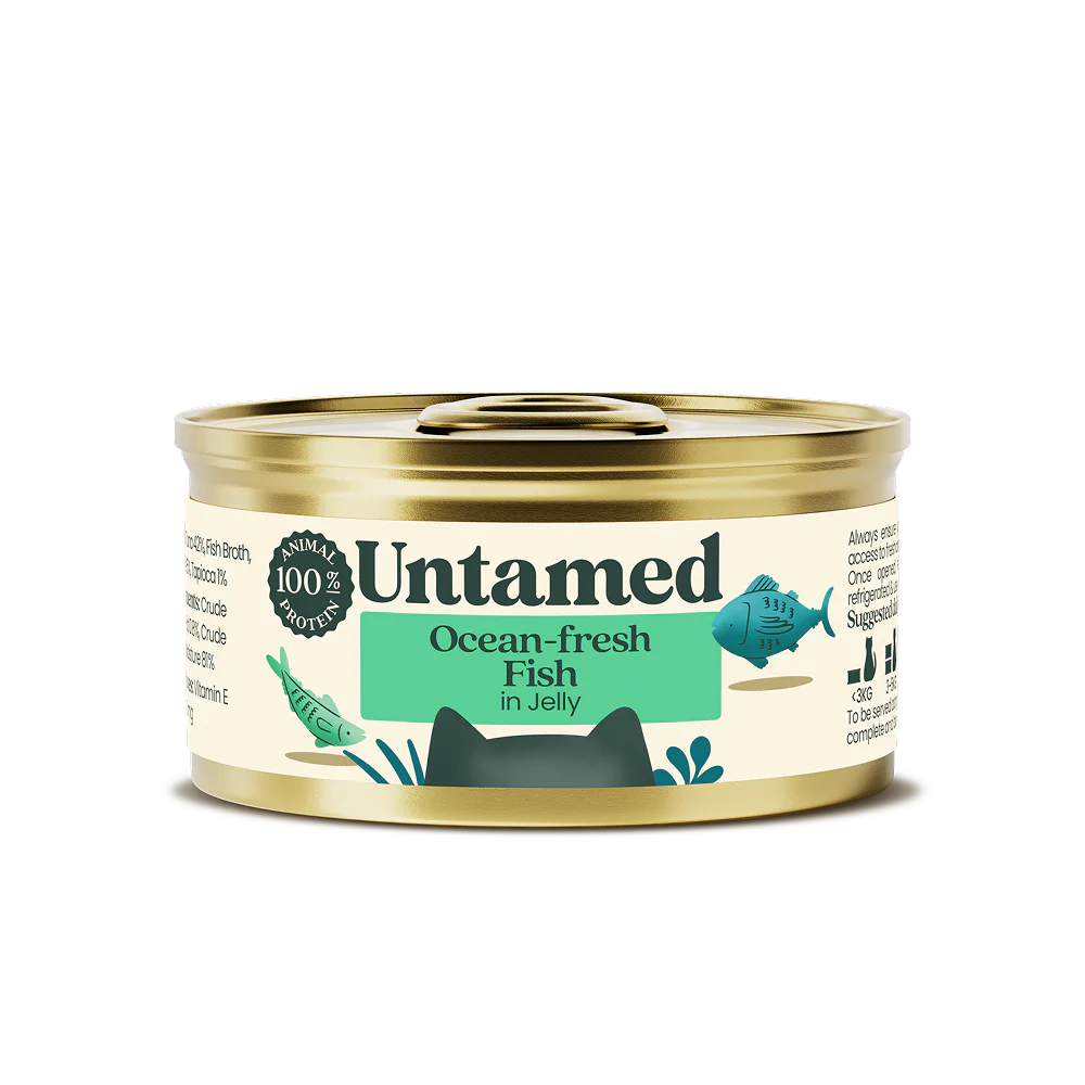 Ocean-fresh Fish (in jelly) - 7 tins - Image 3