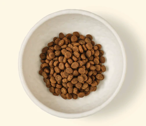 Poultry Packed Coated Kibble 800g (Special Offer) - Image 4
